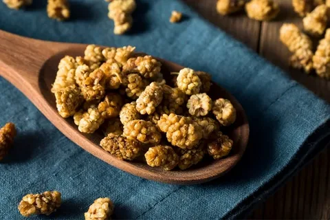 فروش میوه توت خشک + قیمت خرید به صرفه